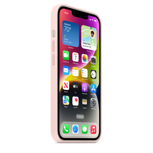 14 Pro Rosa